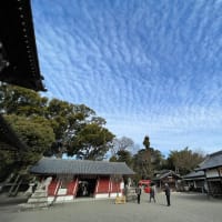 2022年新春の櫻井神社へ往復8000歩🚶‍♀️🚶‍♀️
