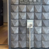 会派視察で川口市に行ってまいりました〜外国人登録状況及び共生の現状と課題について〜