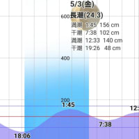 【湾奥シーバス2024】大雨の影響かパターンが変化