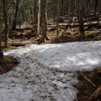 雪の南八ヶ岳（編笠岳）他