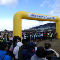 2017　藤井寺市民マラソン大会