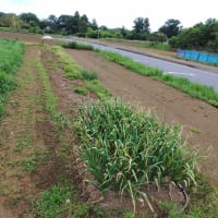 雨が降る前に・・・ｂｙテツヲタ