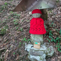 安部奥の岩岳に咲く花を求めて