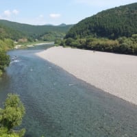 本日の海部川
