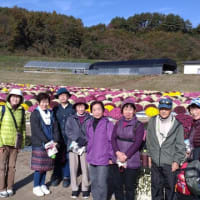 被災者支援交流促進活動は毎月実施