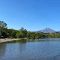 新緑に囲まれて🌲