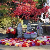 美しい紅葉を求めて 奈良 明日香村を散策