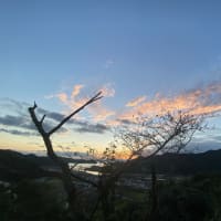 佐敷城跡からの夕景
