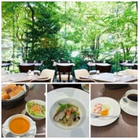 藤田嗣治展、新緑の中のランチ