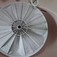 洗濯機の分解洗浄