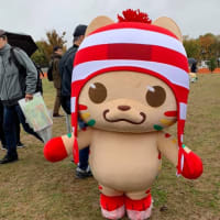 オセロット