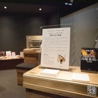 嬉野温泉 和多屋別荘に宿泊④（ショップ編その2）