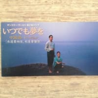 芸能人愛用 サマーコンビニエンス」 失われた - 1995年 スイミングマニア ポップス+ロック(邦楽)