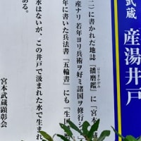 宮本武蔵の里・作州大原　２（異説）