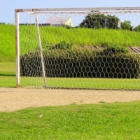 サッカー場のヒバリ