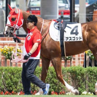 【アスゴッド】連闘キターーッ！ 6/22函館3R・出走確定