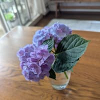 お昼は海老フライ。