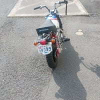 春が来ましたね～