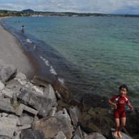 夏到来！