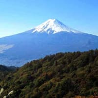 富士山の秋　2018
