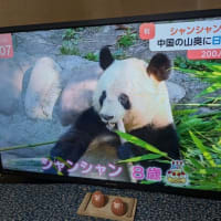 昼の部・博多座