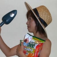 1162「ブログのお引越し」