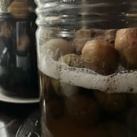 発泡始まり