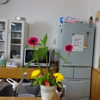 自由花も生けました
