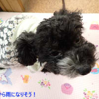 暑さ、落ち着きました！