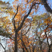 鬼怒川温泉　ロープウェイ山頂駅
