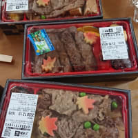 牛丼ダイエット