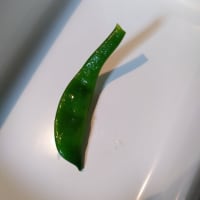 若い豆
