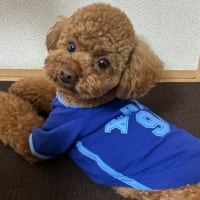 美容院でカットとテニス！