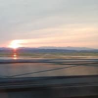 遥遥函館　旅の友