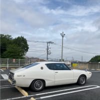 2週間ぶりの