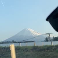 ボンバーカップに参戦してみました_大阪はやっぱり旨くて楽しい編
