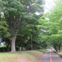 梅雨の晴れ間に運動公園へ