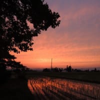 きみを大切に思ってる それは確かなこと～友に捧げる讃歌‐All I Know,・Mary Was An Only Child- Art Garfunkel