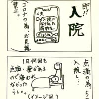 夫が顔の帯状疱疹になりまして。