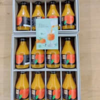 【株主優待】西京銀行（非上場）から「周防大島産みかんジュース」16瓶が届きました。（2025/7/4）
