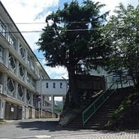 同窓会