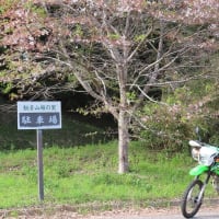 市貝町芝桜公園と栃木の城巡り