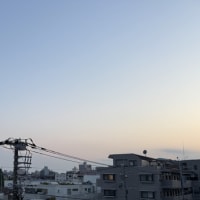 ちこが虹の橋を渡りました