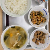 今日の学園の様子