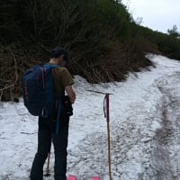 赤岳で雪渓滑り　令和7年6月21日（土）