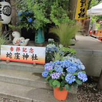 蛇窪神社の茅の輪くぐり