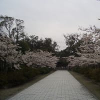 最高でしたわ！