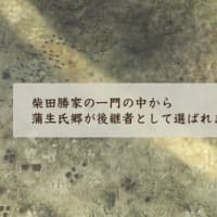 『戦国立志伝』を蒲生氏郷で銀の鯰尾プレイ！