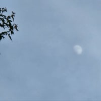 旧暦５月１１日の月