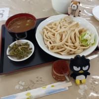 現実逃避の肉つけうどん大盛り山菜トッピング…